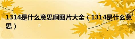 1314的意思|» 1314的含义：为什么在恋爱、友谊和亲密关系中被广泛使用？